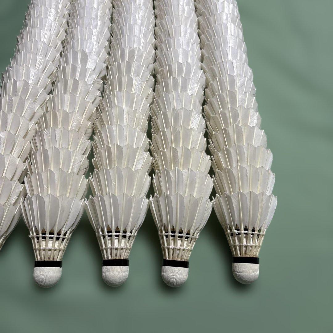 バドミントンシャトル ノック、トスバッティング用 205