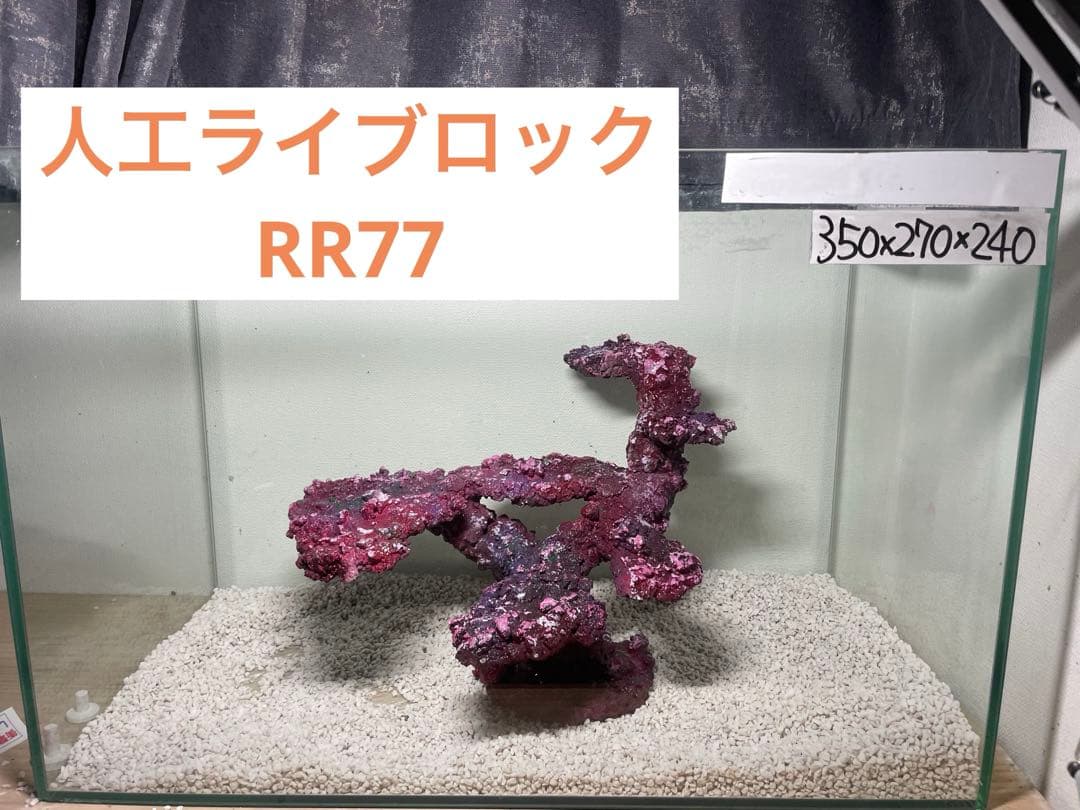 人工ライブロック RR77 アク抜き済み安心塗料使用