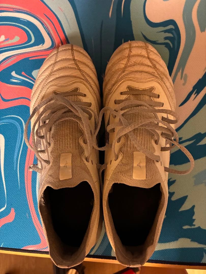 モレリアネオ3 β