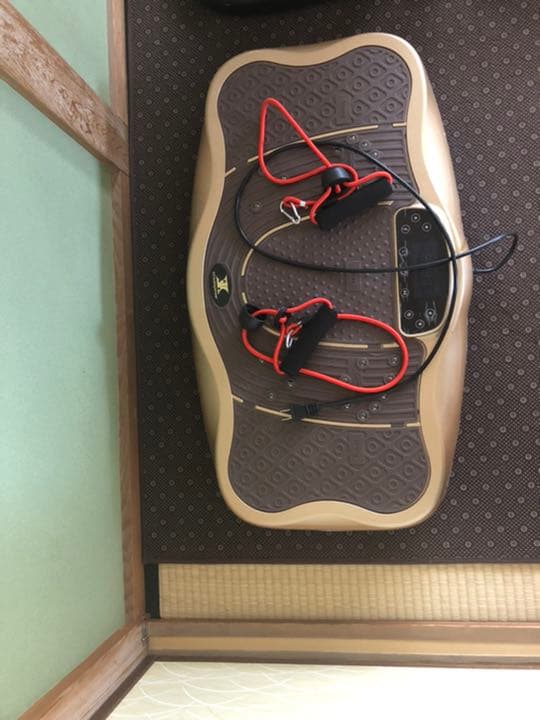 スタイリッシュジャパン　スリミング振動ステッパー