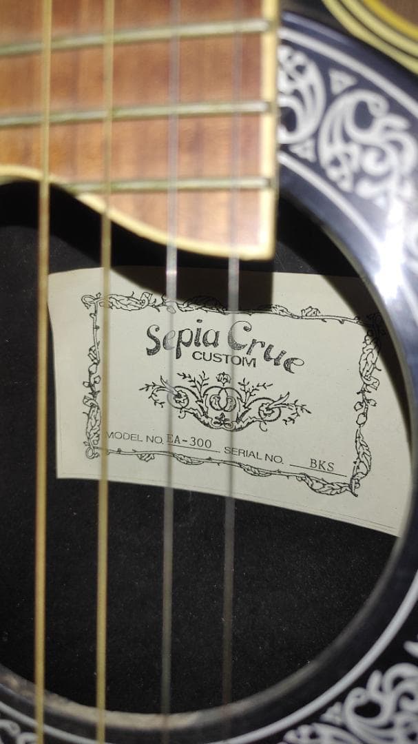 ギター Sepia Crue Custom EA-300