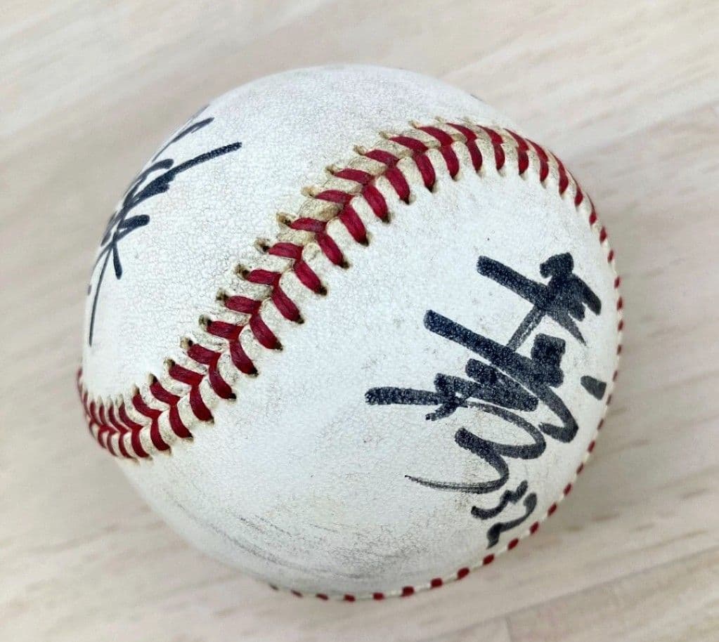 サインボール まとめ25個 オリックスバッファローズ 北海道日本ハムファイターズ