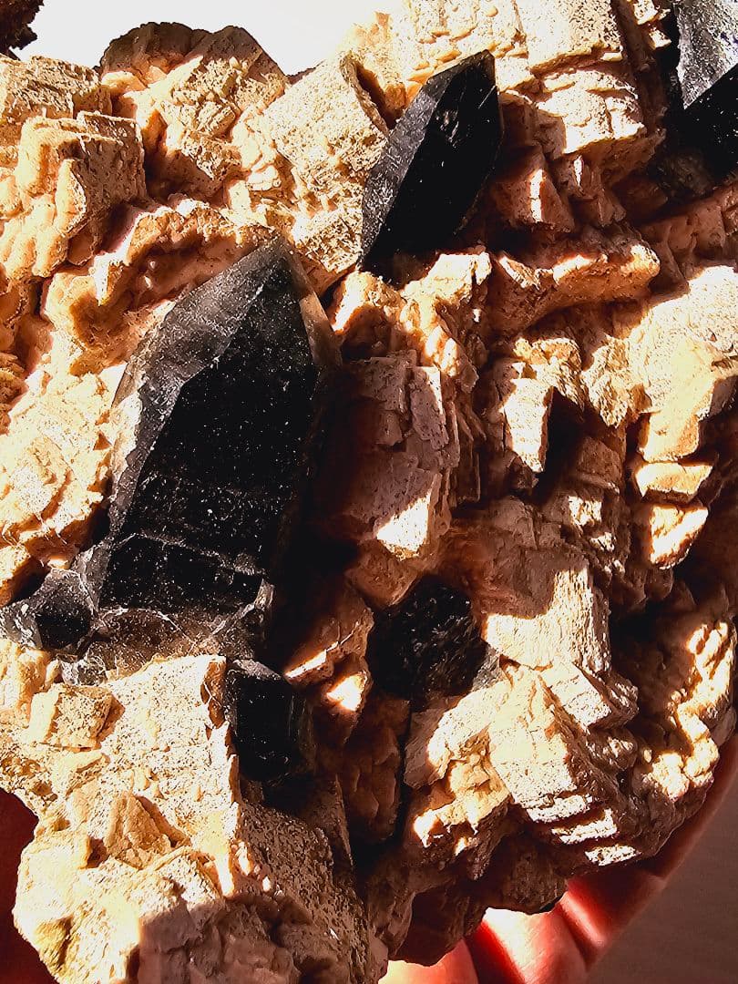 約750gあり★チベット産 モリオン(黒水晶)クラスター