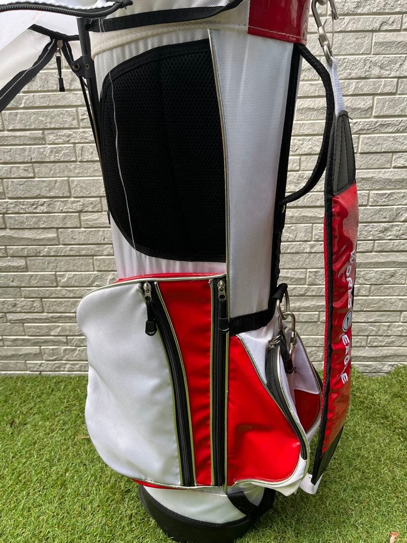 ワールドイーグル F-01α Rフレックス 10本セット＋スリクソンドライバー