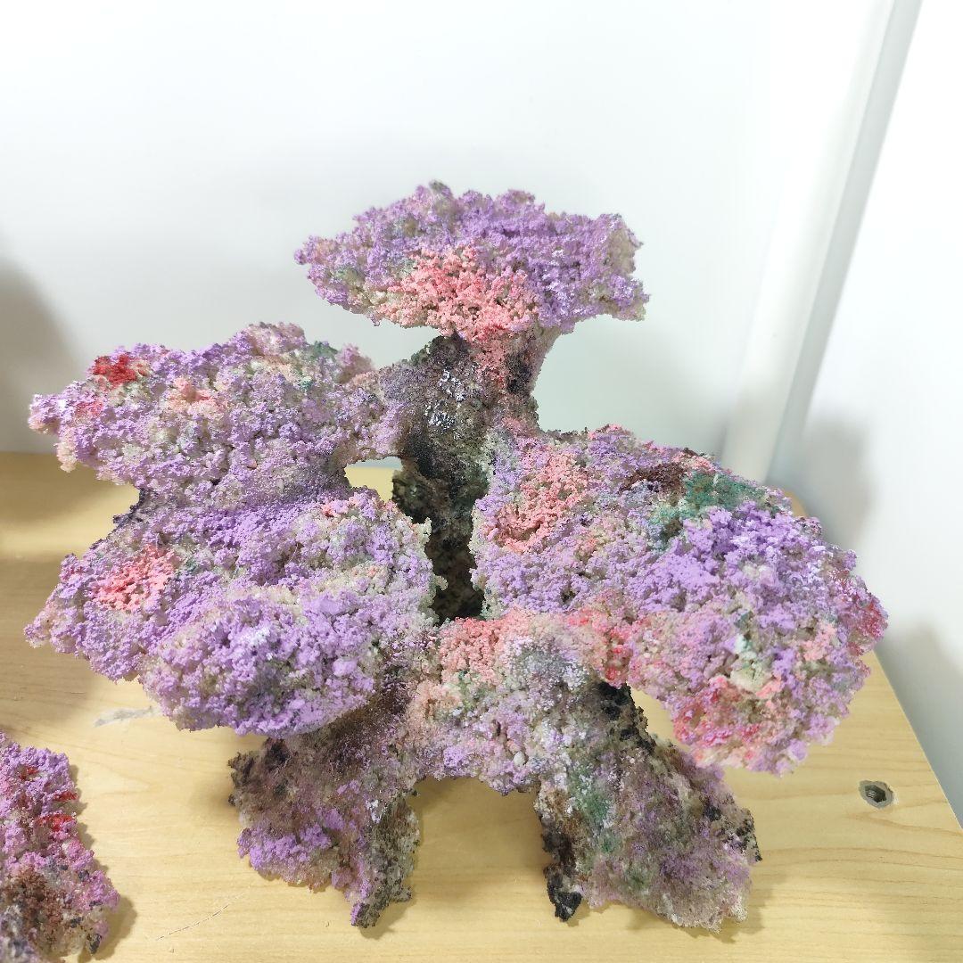 新品アク抜き不要 分離型人工ライブロック 60cm海水水槽用 レプリカ 多孔質2