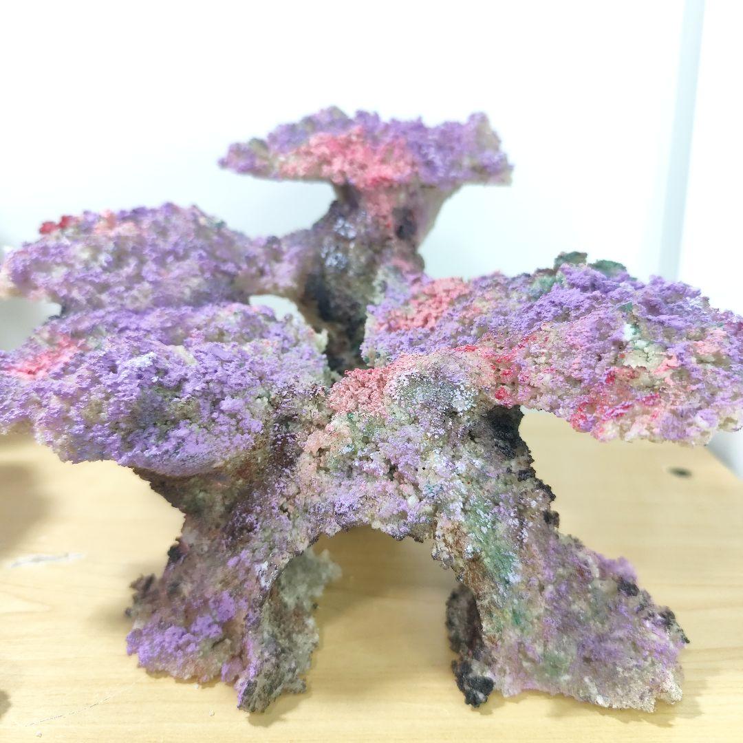 新品アク抜き不要 分離型人工ライブロック 60cm海水水槽用 レプリカ 多孔質2