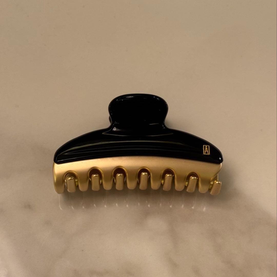 新品　アレクサドルドゥパリ　クリップ