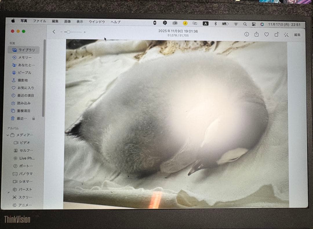 中古LenovoThinkVision M14dメーカー保証あり