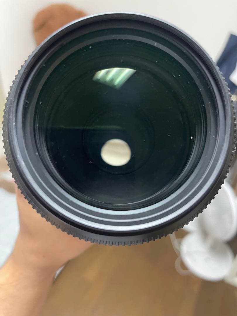 レンズ(ズーム) SIGMA 120-400mm F4.5-5.6 APO DG OS