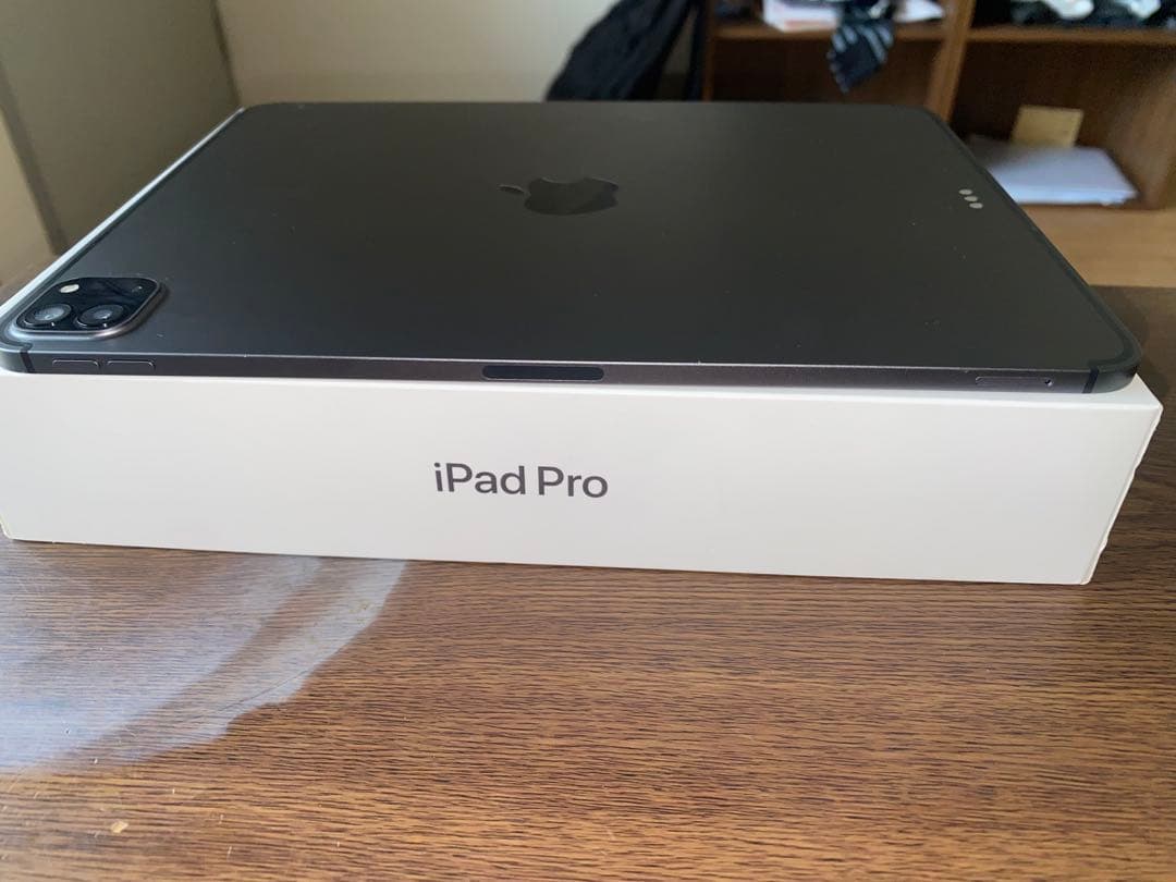 Ipad pro 第2世代11インチ 256GB スペースグレー