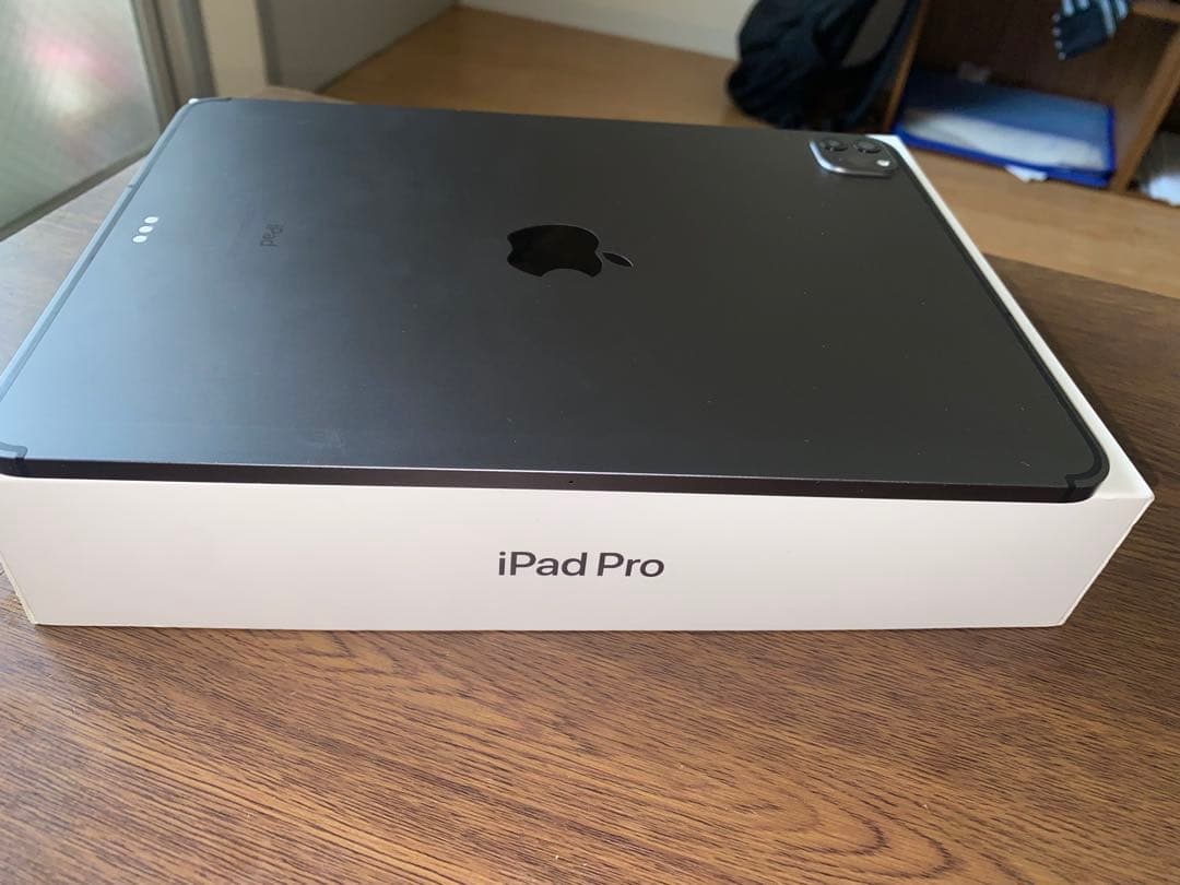 Ipad pro 第2世代11インチ 256GB スペースグレー