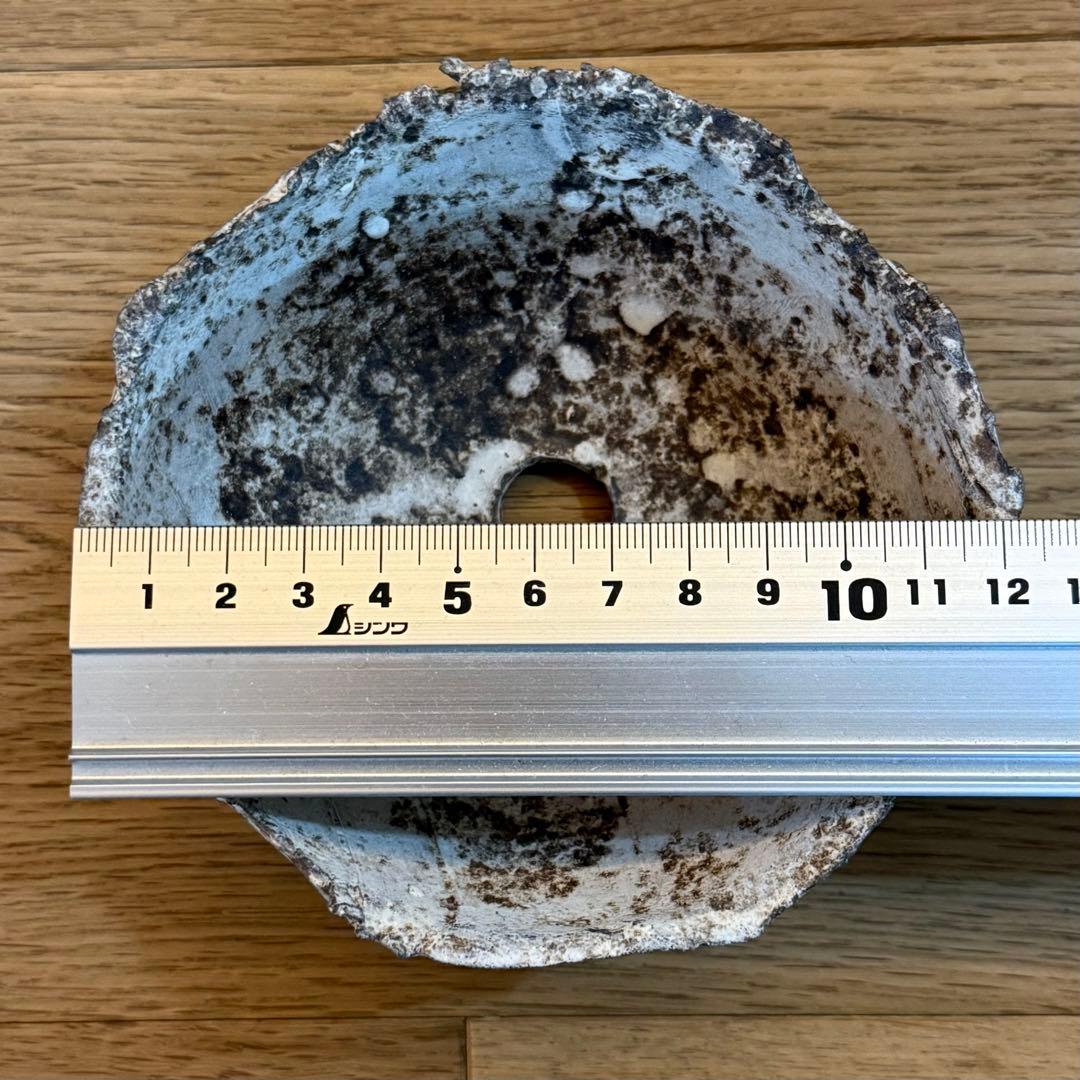 たけろうポット ちぎり 白サビ 安西岳郎 芽の巣山 植木鉢