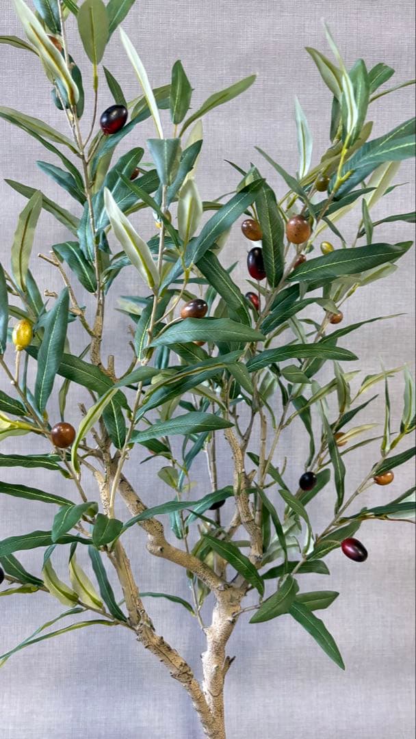 【超リアルなオリーブの木】実つきフェイクグリーンで叶える憧れのオリーブライフ