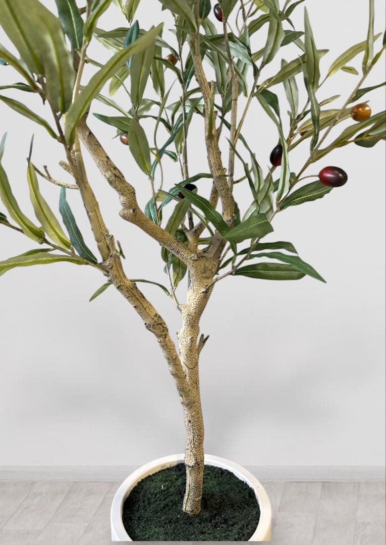【超リアルなオリーブの木】実つきフェイクグリーンで叶える憧れのオリーブライフ