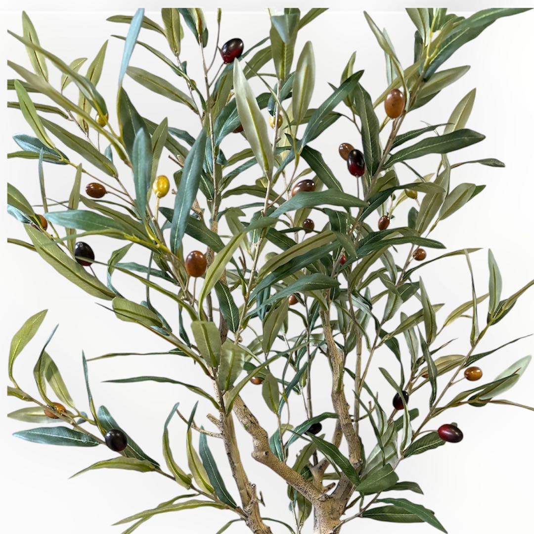 【超リアルなオリーブの木】実つきフェイクグリーンで叶える憧れのオリーブライフ