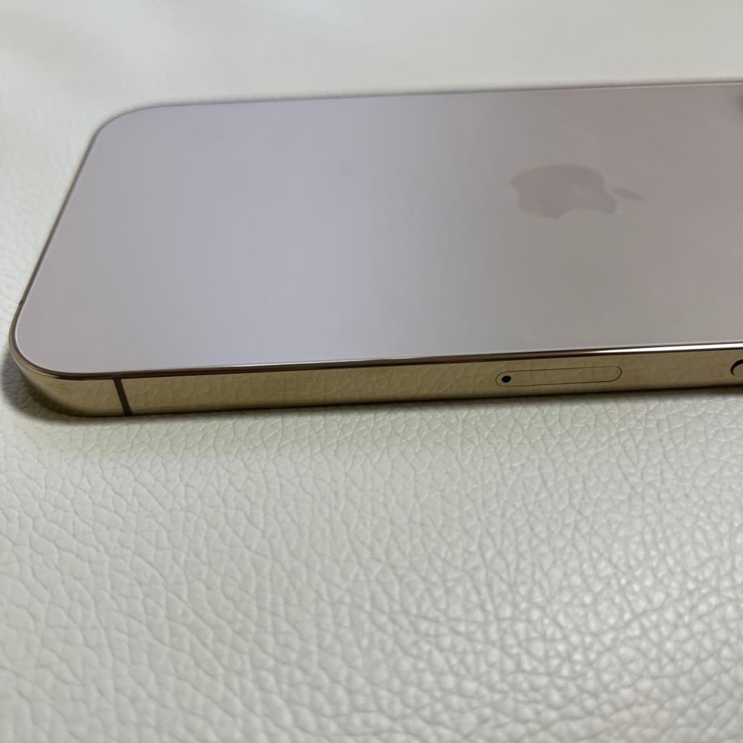 Apple iPhone 12 本体