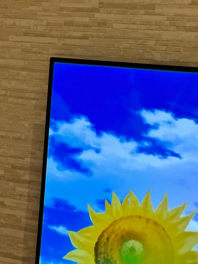 【値引き　初期化済】LG OLED55B9PJA 55V型 4K有機ELテレビ