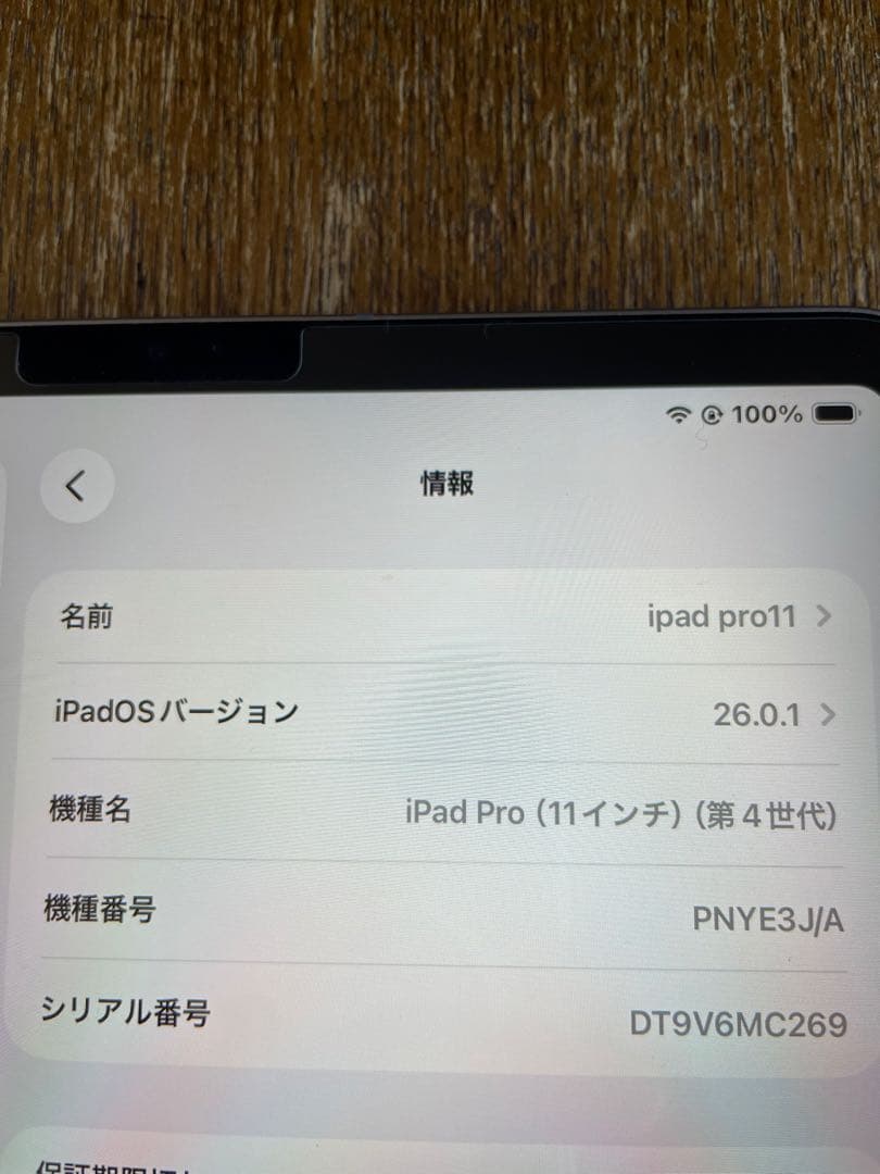 【iPadPro11】（第4世代）Wi-Fi + Cellular 256GB