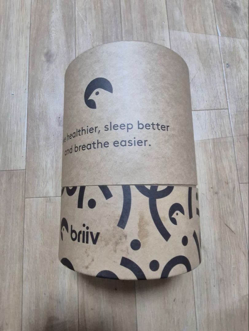 skuuu　briiv 空気清浄機 英国発 自然派エコ BV0001