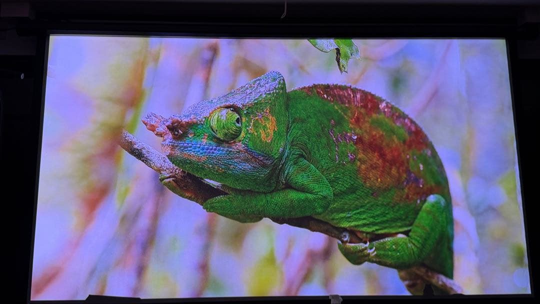 poji nega専用 REGZA RLC-V7R MAX プロジェクター本体