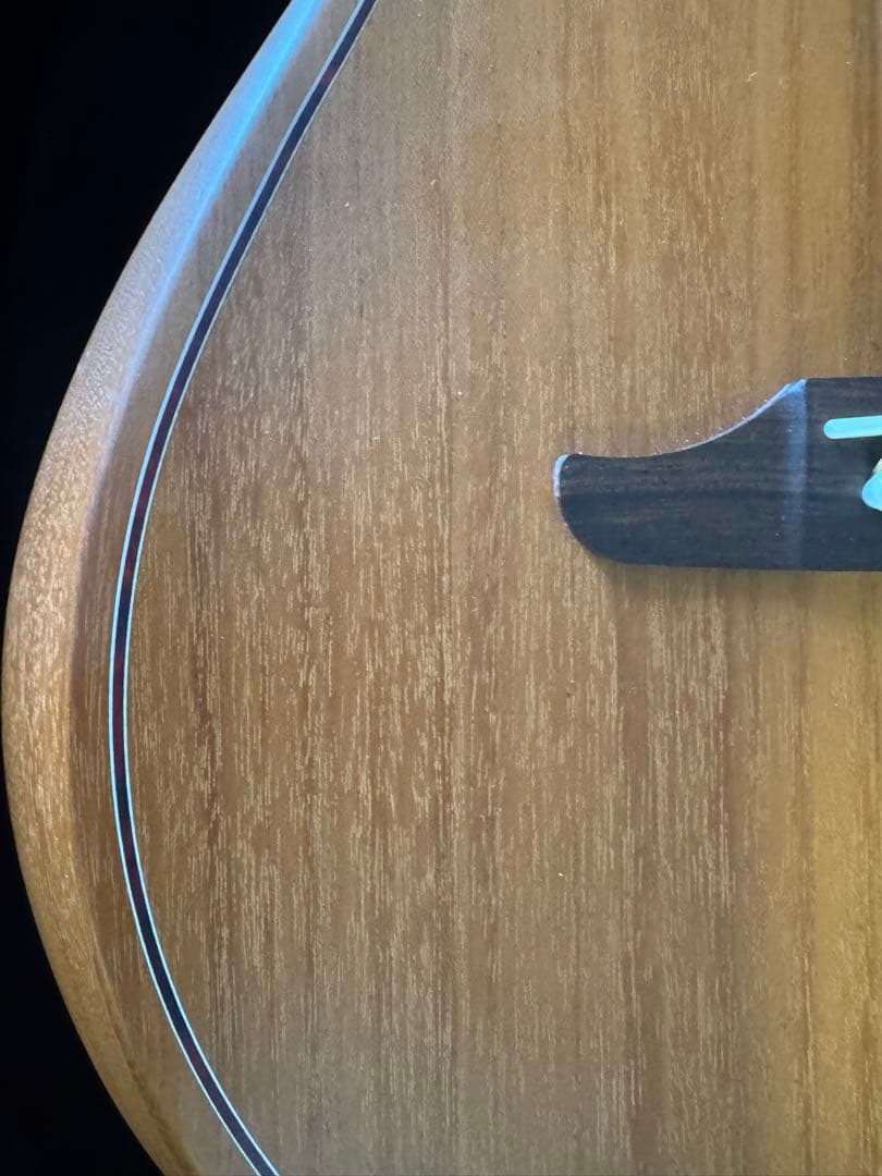 Fender フェンダー エレアコ Highway 美品　ギグバック付属　中古