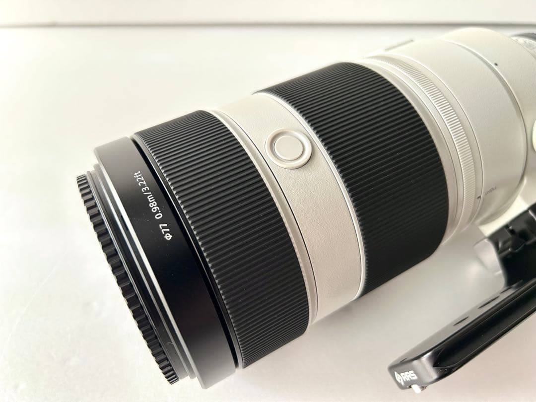 s*m様 SONY FE 100-400mm F4.5-5.6 GM OSS
