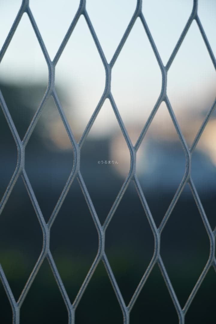 ダルマエルマー！Leica Fat Elmar 90mm F4 オールドレンズ