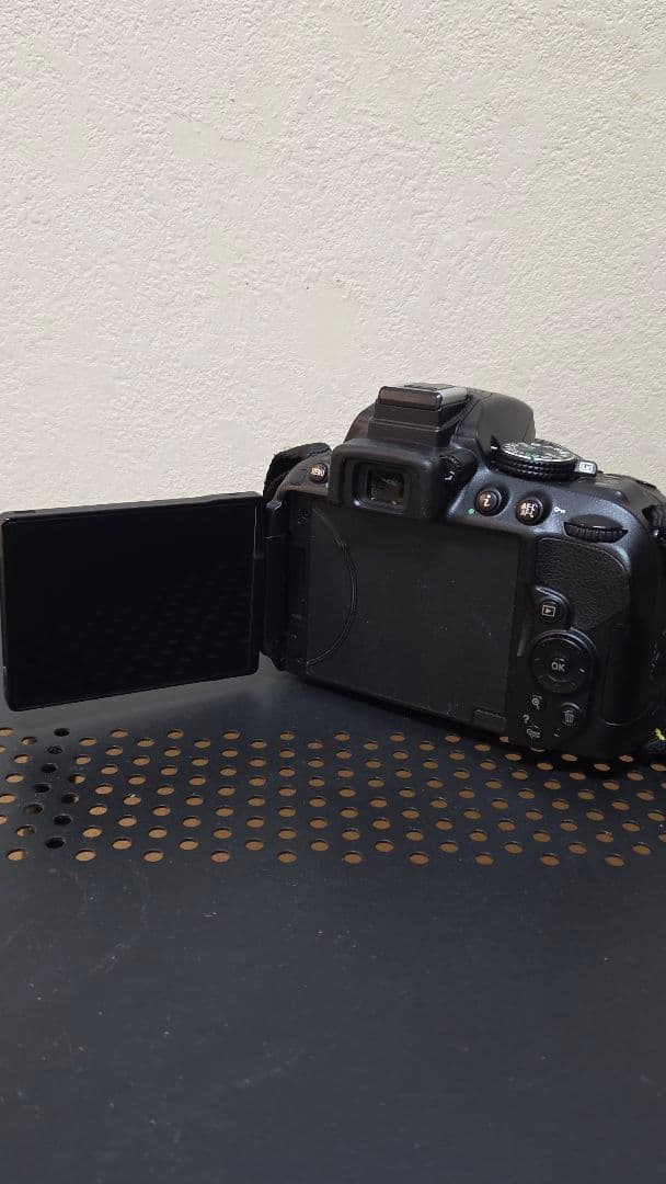 NikonD5300 ダブルズームキット2 説明書あり