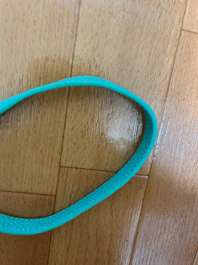 しぃちゃん 鈴木亜美さん 3点iPhone15proケースストラップマルチケース