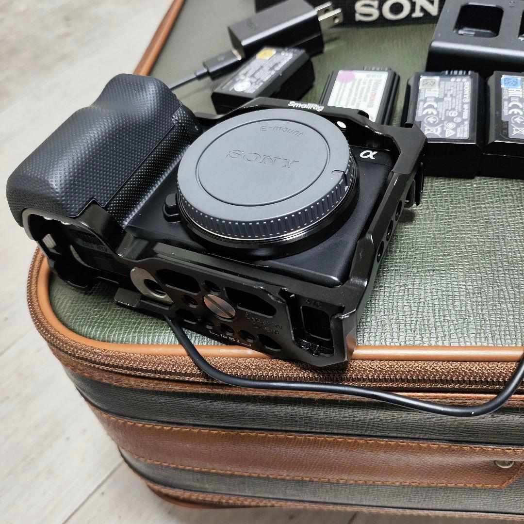 ZV-E10+Cage,4個batteries,English日本語も可能