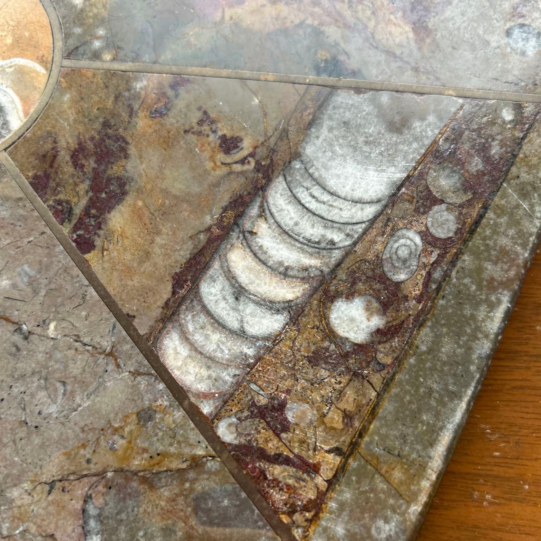 レア　アンモナイト　化石　八角形石製置物 約32.5cm