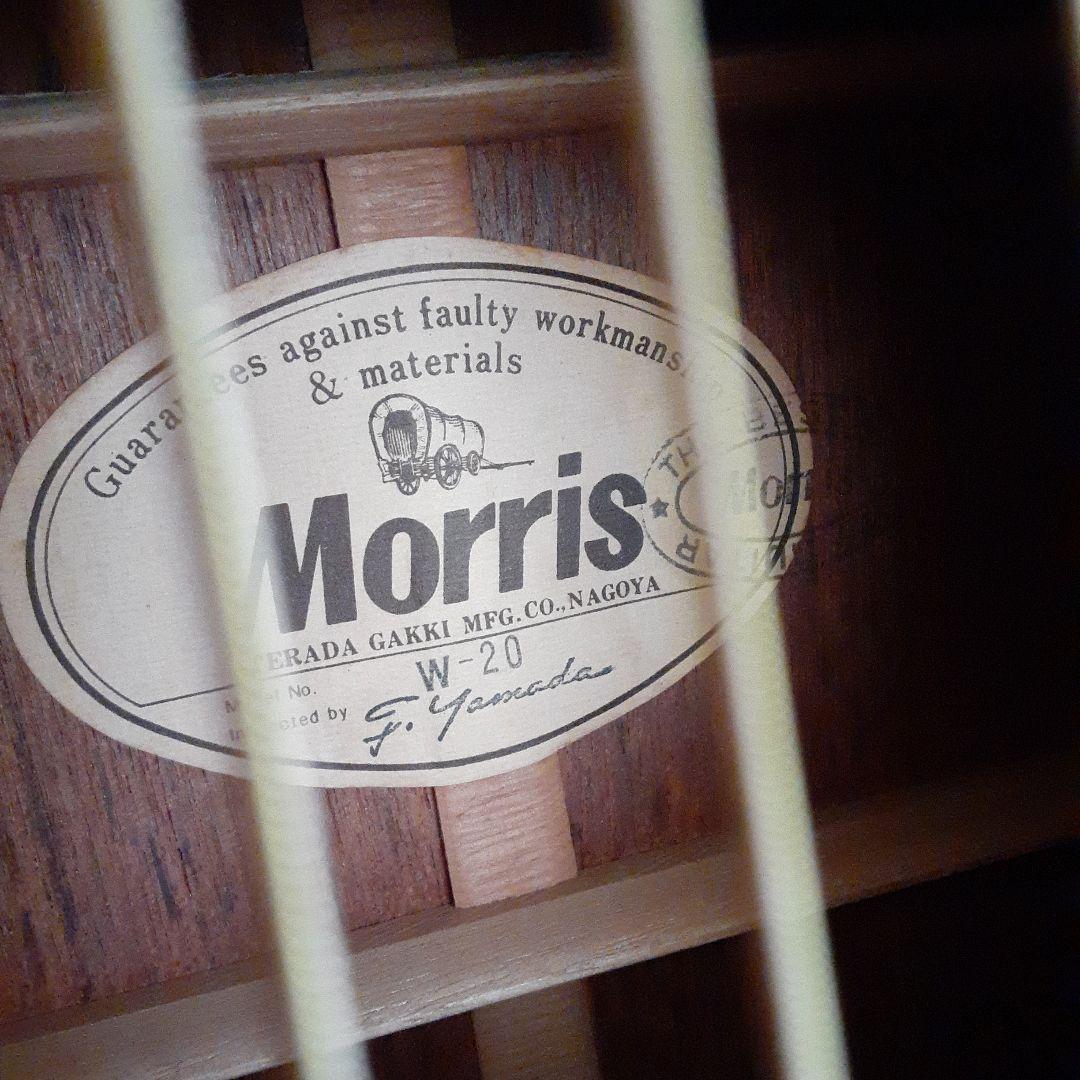 Morris W-20アコースティックギター ドレッドノート