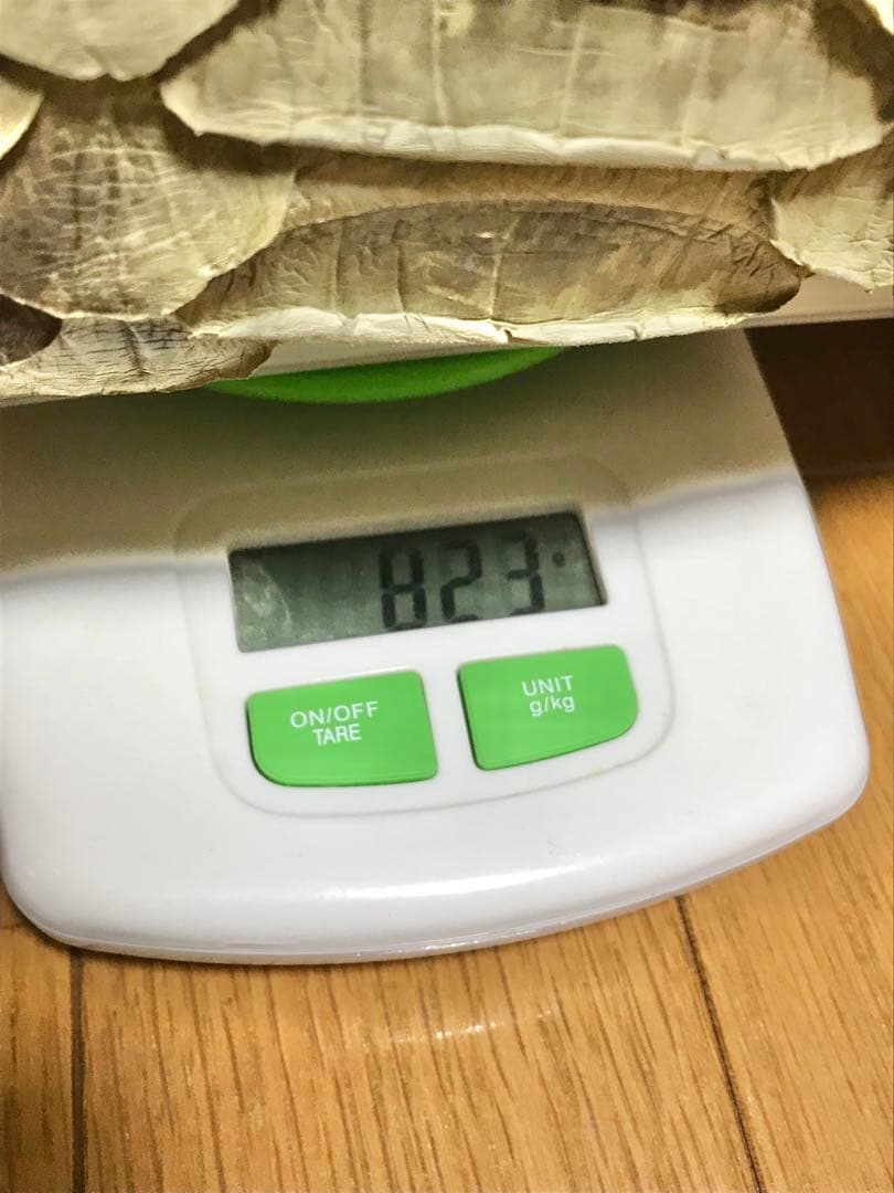 サンレミー　バッグ　高級パイソン