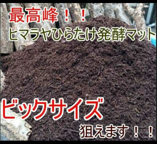 送料無料！60リットル　カブトムシ幼虫の餌！巨大化！ヒマラヤひらたけ発酵マット