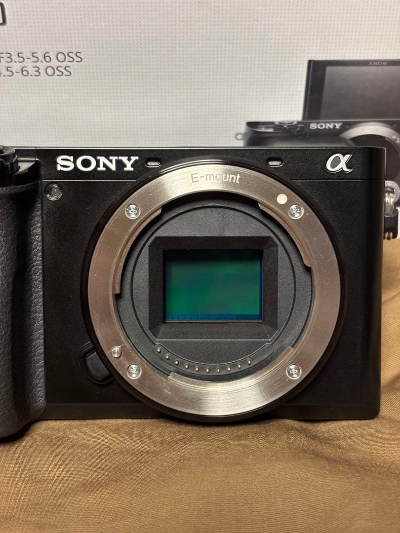 SONY α6100 ミラーレスカメラ