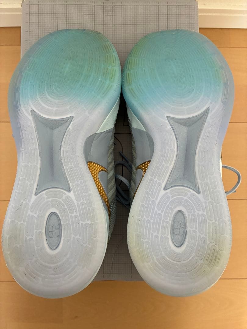 Nike Sabrina Ionescu バスケットシューズ