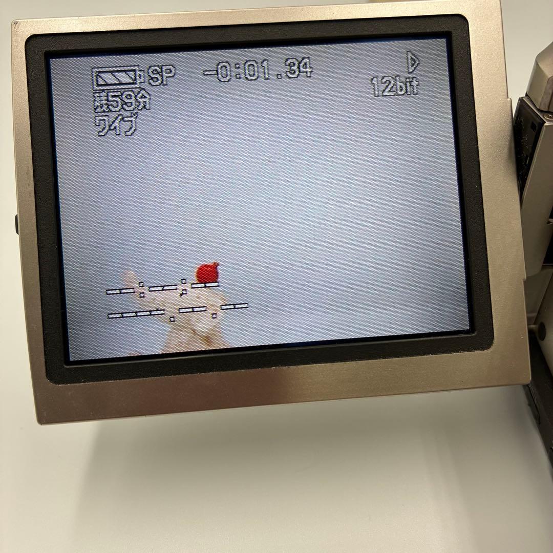 【動作確認済】Panasonic パナソニック NV-DS200 Mini DV