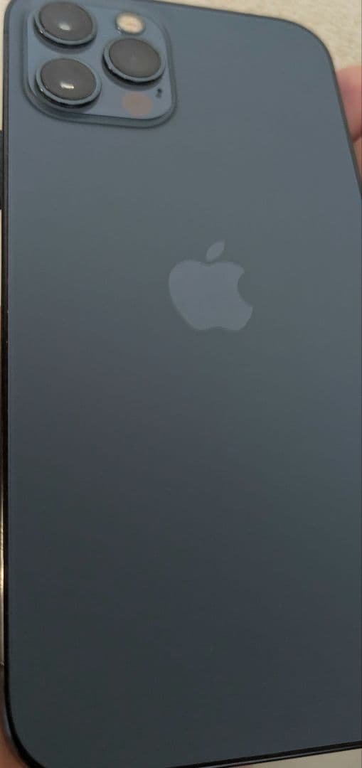 Apple iPhone 12 Pro グラファイト 【美品　256GB】