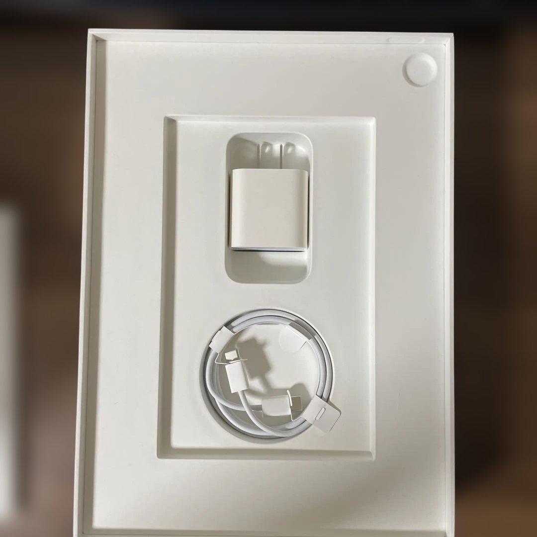 最終価格美品ipadAir第4世代　Wi-Fi 256GB