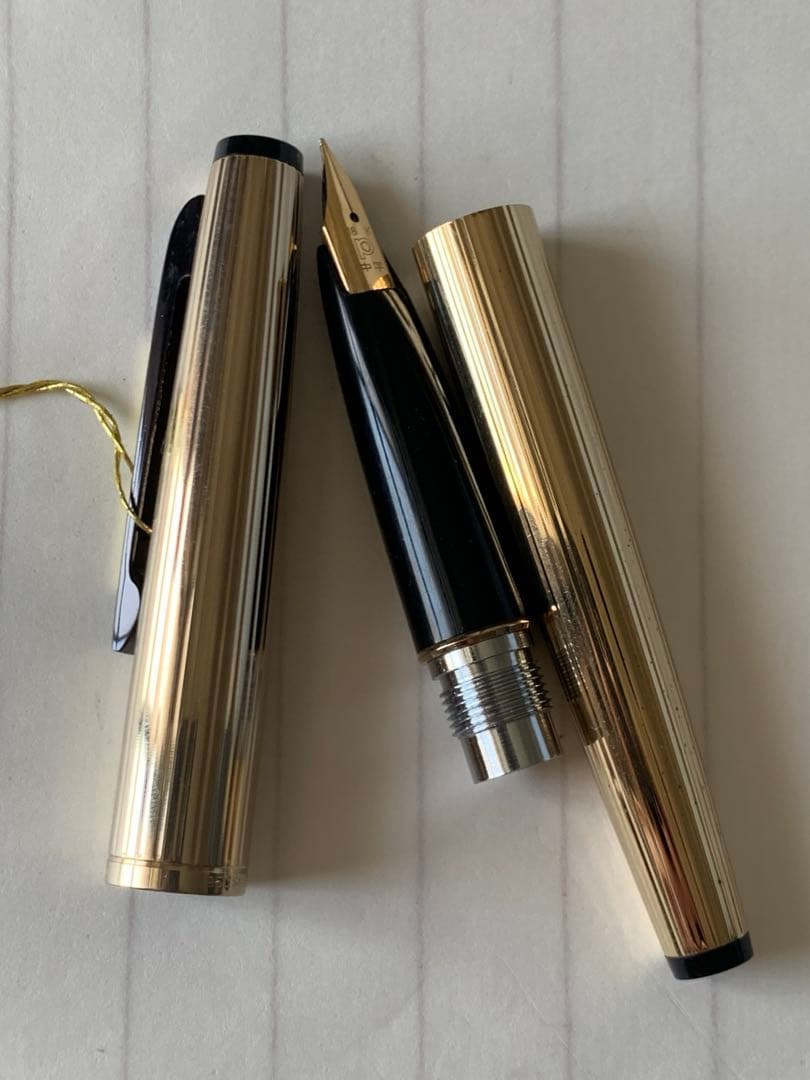 希少 プラチナ 950 シルバー GP 万年筆