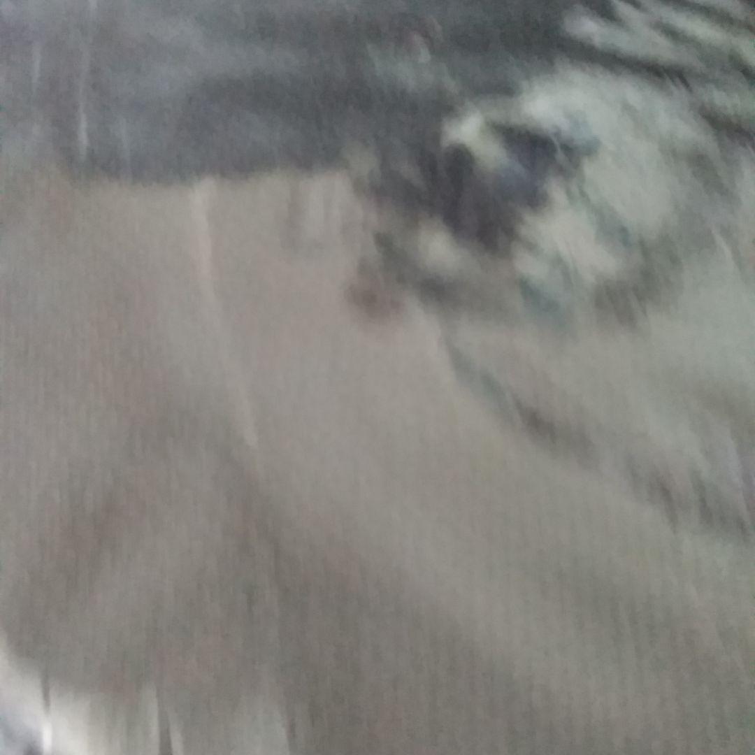 airweaveエアウィーヴエアーウィーブ！座クッション 黒青！新品未使用品！