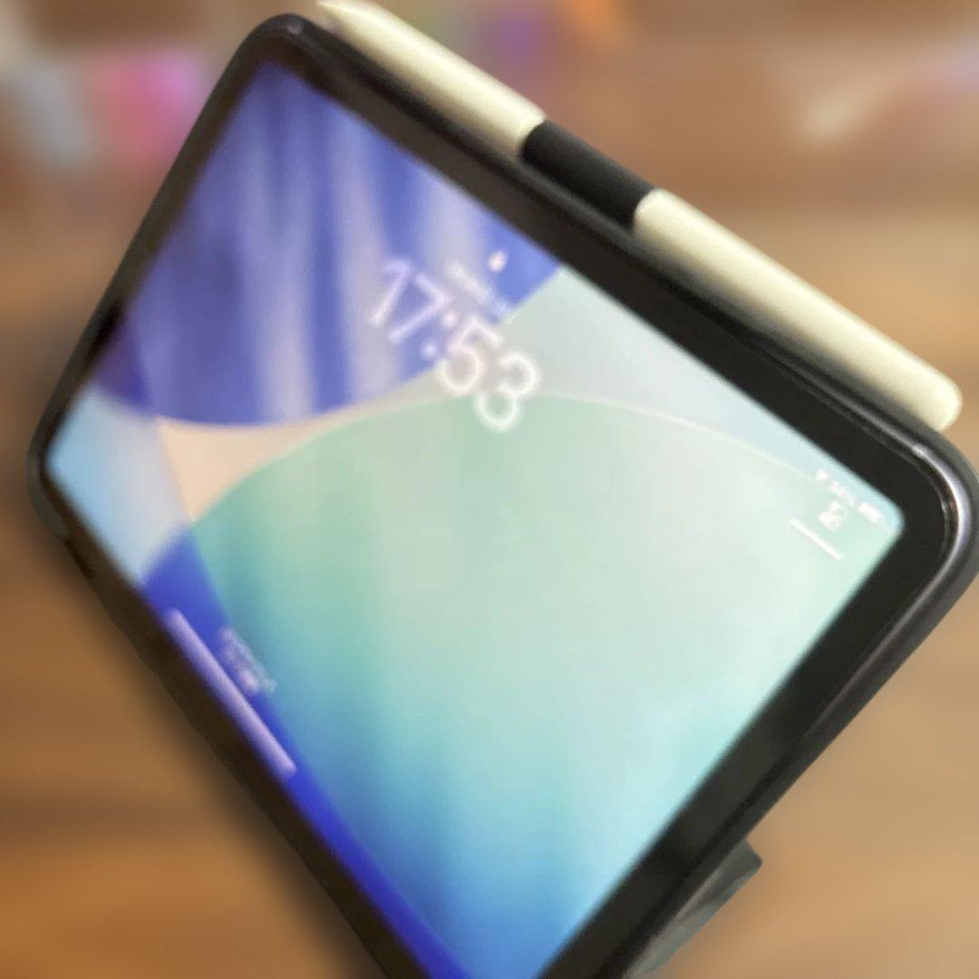 iPad本体 iPad mini 6 Wi-Fi+Cellar 256GB MK8K3J/A