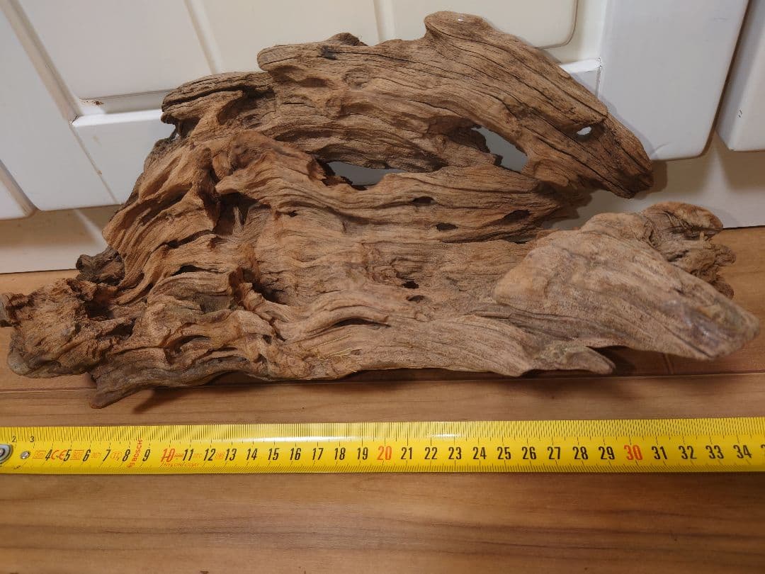 水槽用流木 自然な形状 約30cm〜50cm