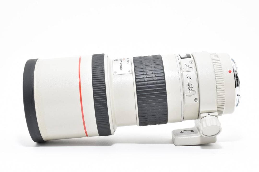 ★外観極美品★ EF 300mm F4L USM 《レンズキャップ付き！》