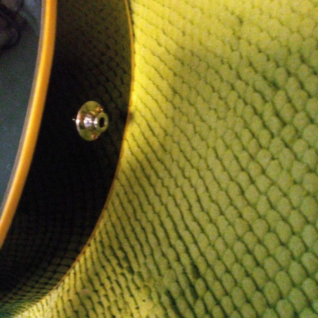 ツバメ11日迄Takamine Cooderエレアコギター大特価‼️