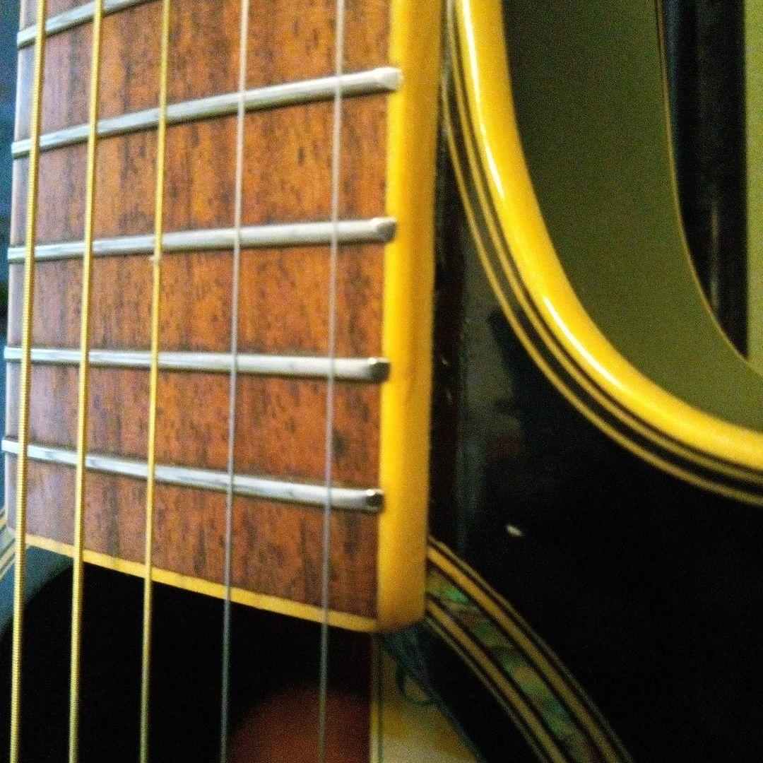 ツバメ11日迄Takamine Cooderエレアコギター大特価‼️