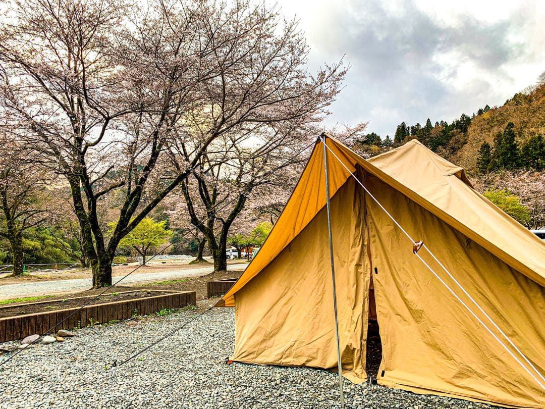 【DOD】 ショウネンテント TC