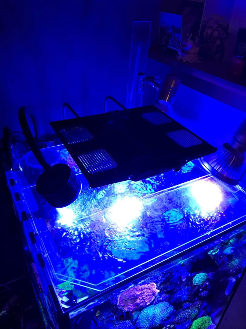 水槽用LED照明 maxspect R420R Nano