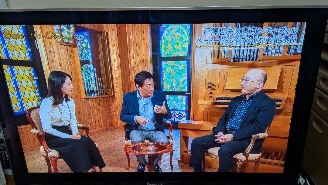 Panasonic TH-P50V1 50インチ テレビ