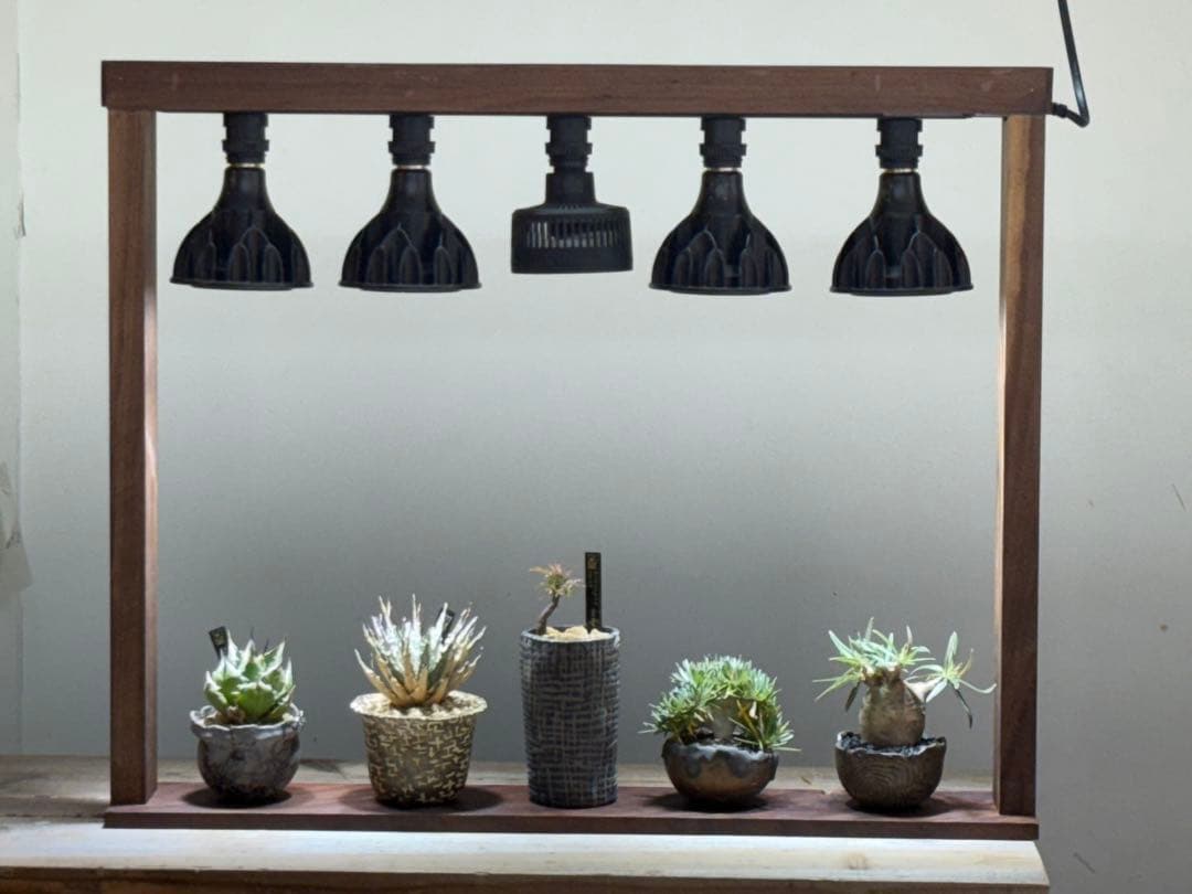 週末SALE。ウォルナット　植物用LEDライトスタンド